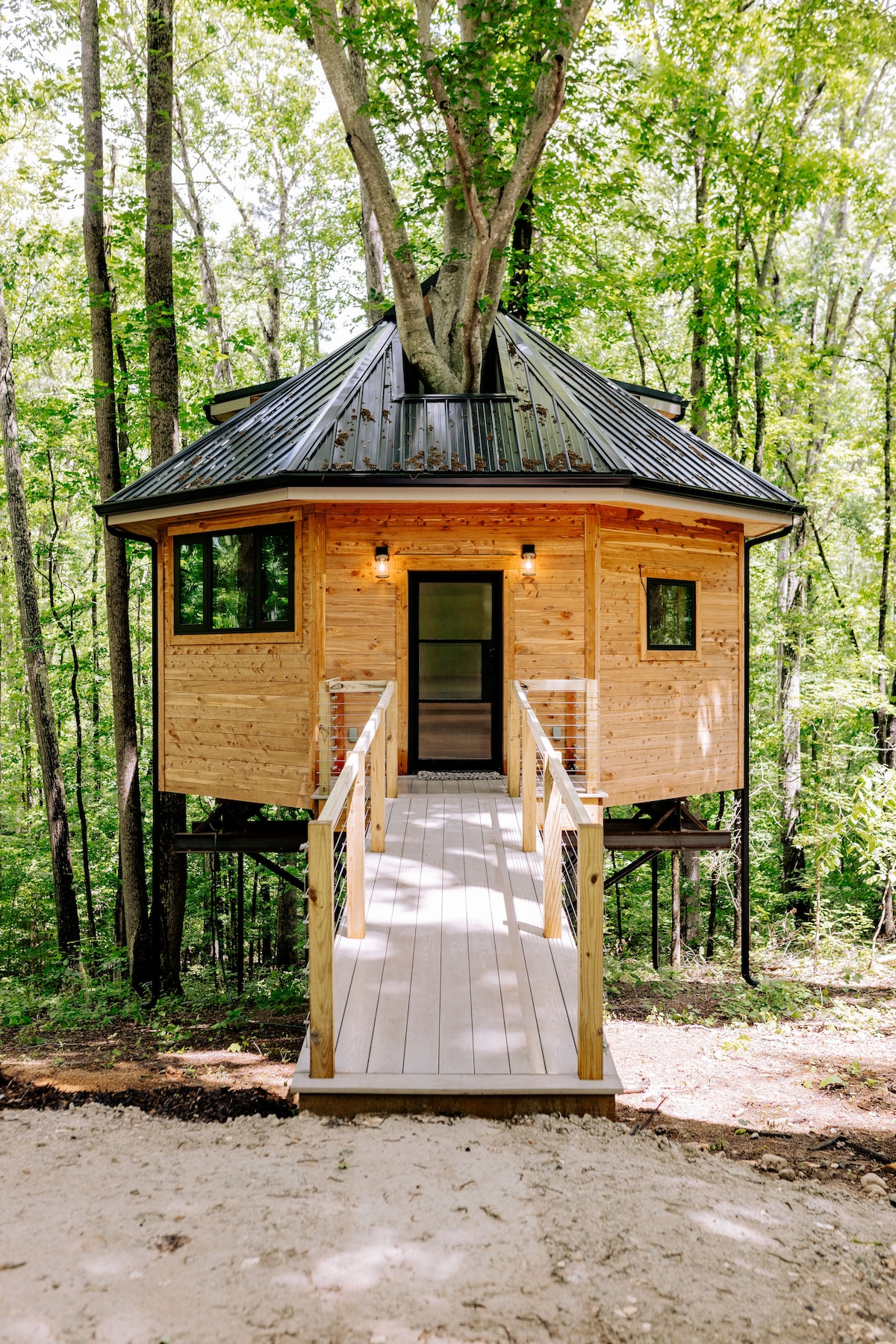 Beech Retreet Treehouse