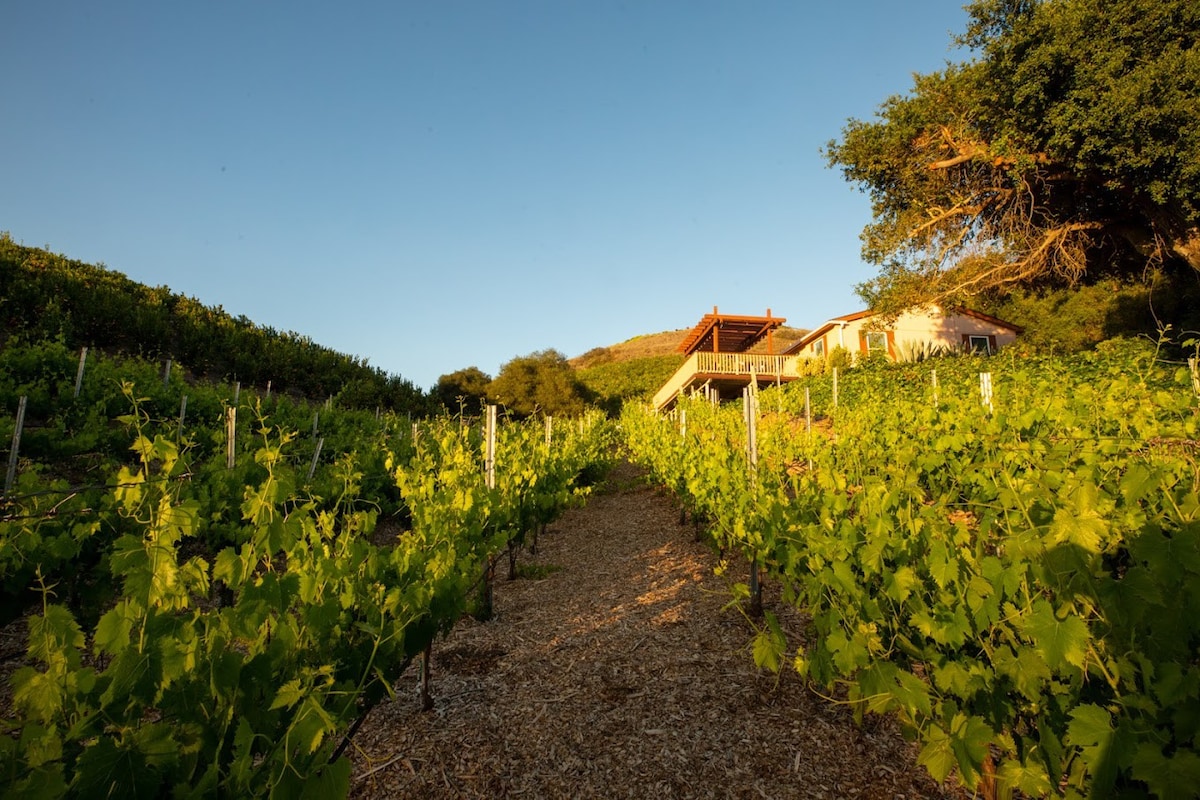 Relaxing & Serene Orchard Villa W/ Fruit Picking