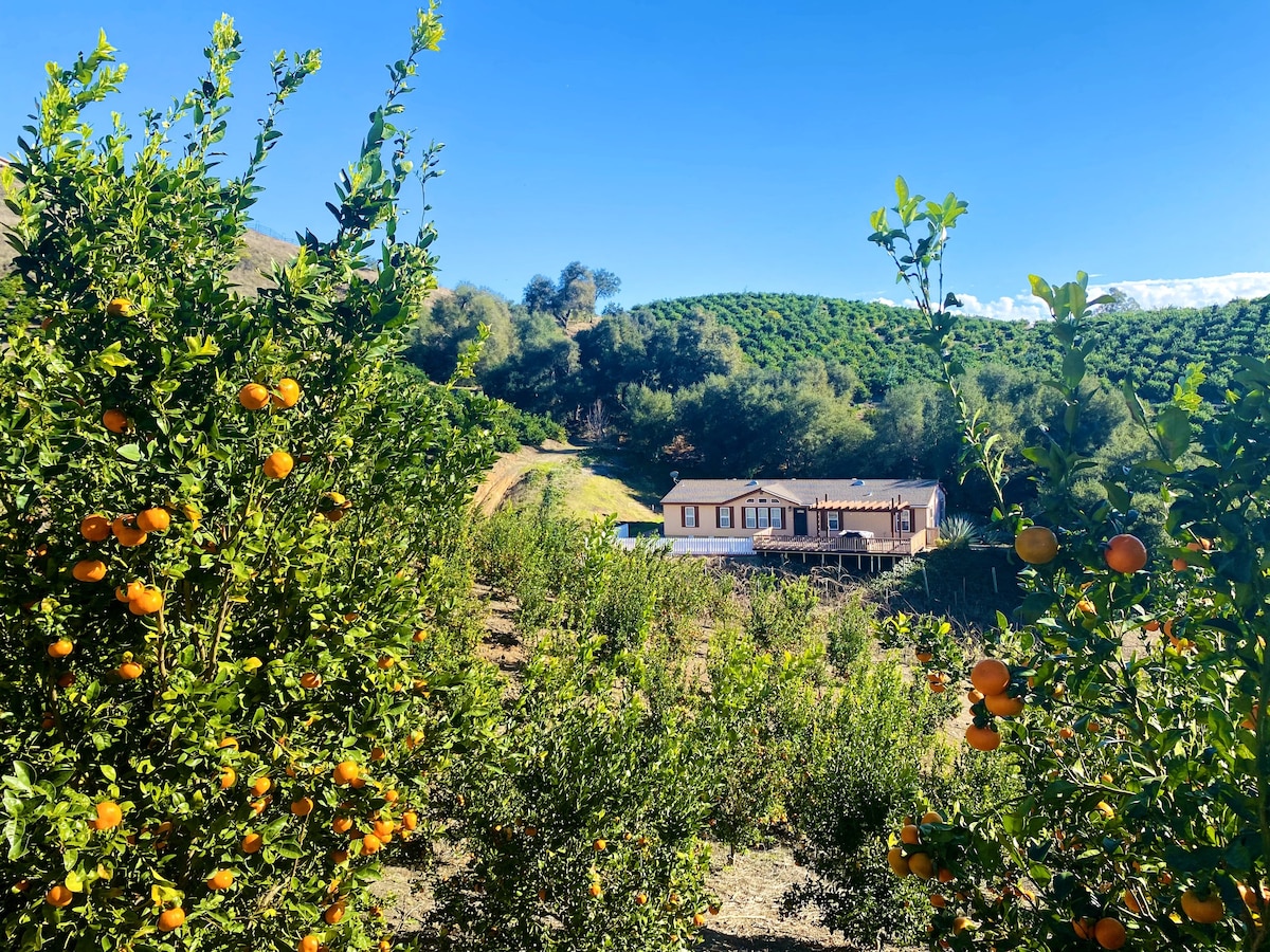 Relaxing & Serene Orchard Villa W/ Fruit Picking