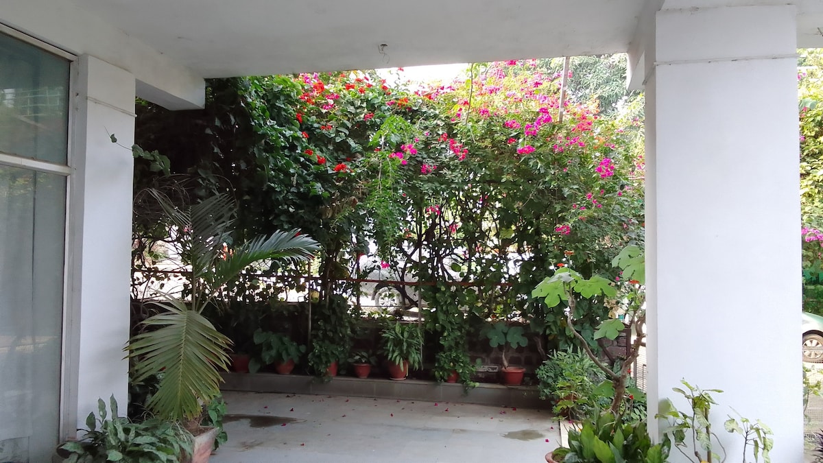 Mum's Bougainvillea