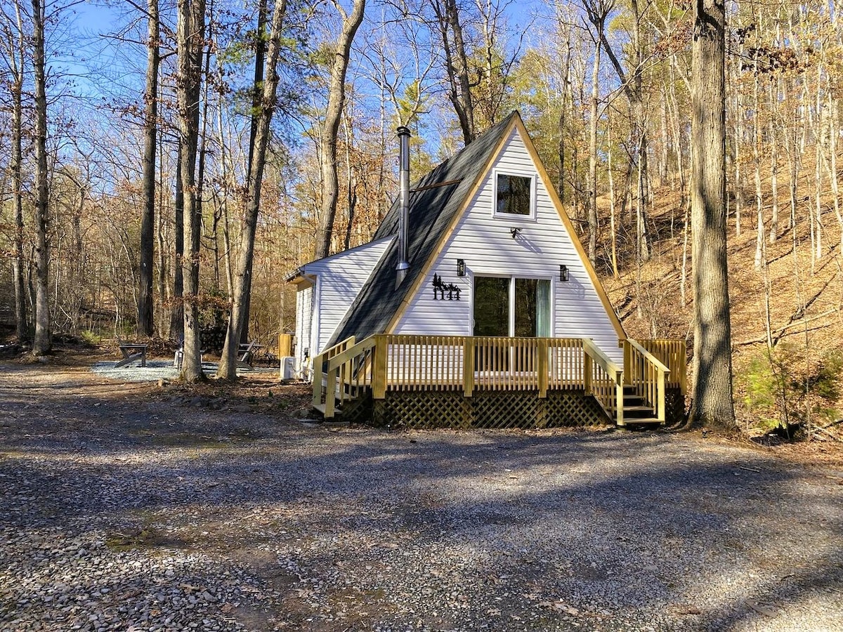 Secluded Modern A-frame in Shenandoah Valley