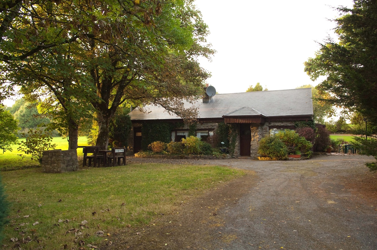 Cottage am Shannon mit Ruderboot