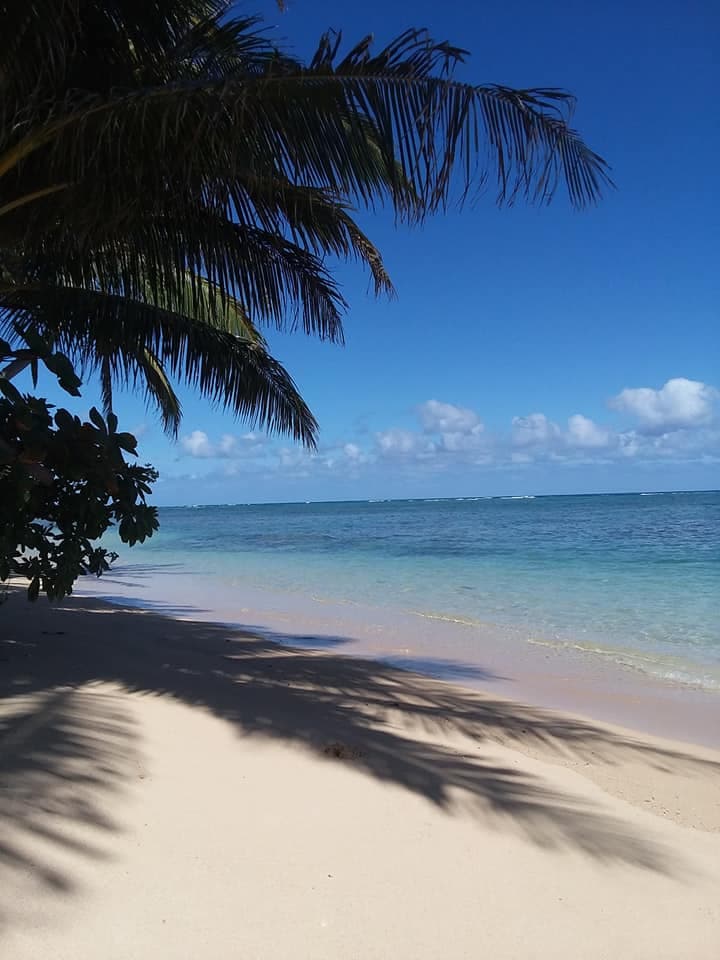 Sandy Beach Vibes! Cute Beachfront Studio!