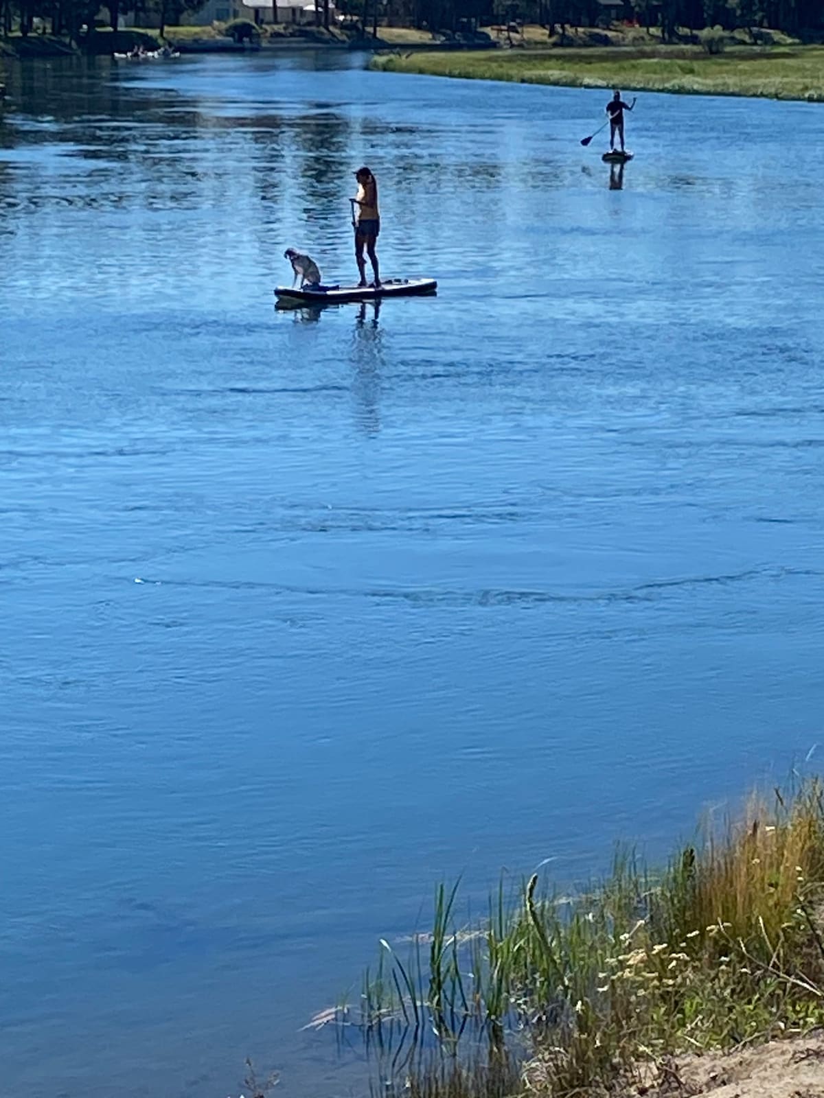 DeschutesRiver Stay Dock, Pool