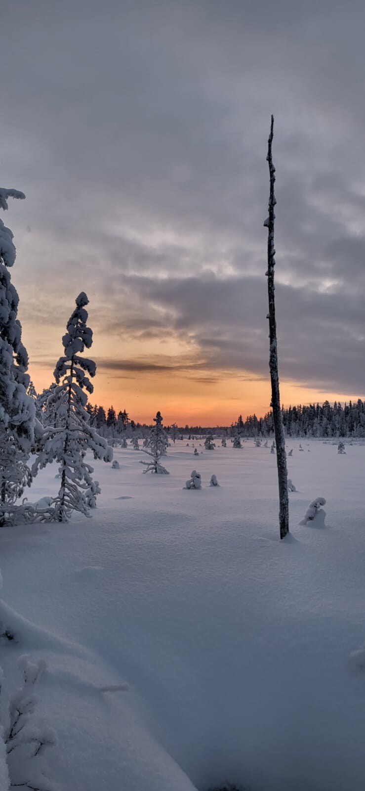 Mökki Lapin luonnon keskellä