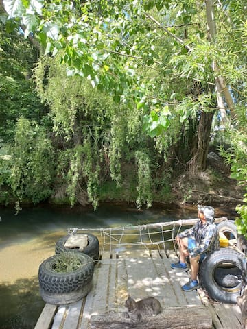 Puerto Río Tranquilo的民宿