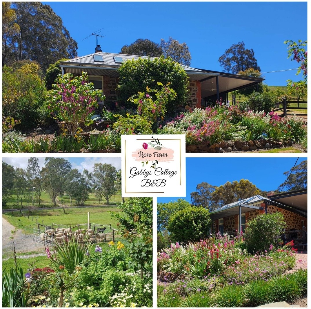 Gabby 's Cottage - Rose Farm