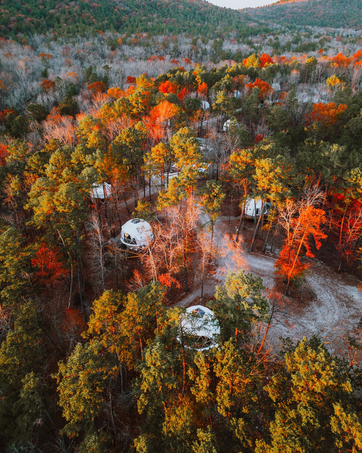 Diamond Geodesic Dome | Starlight Haven