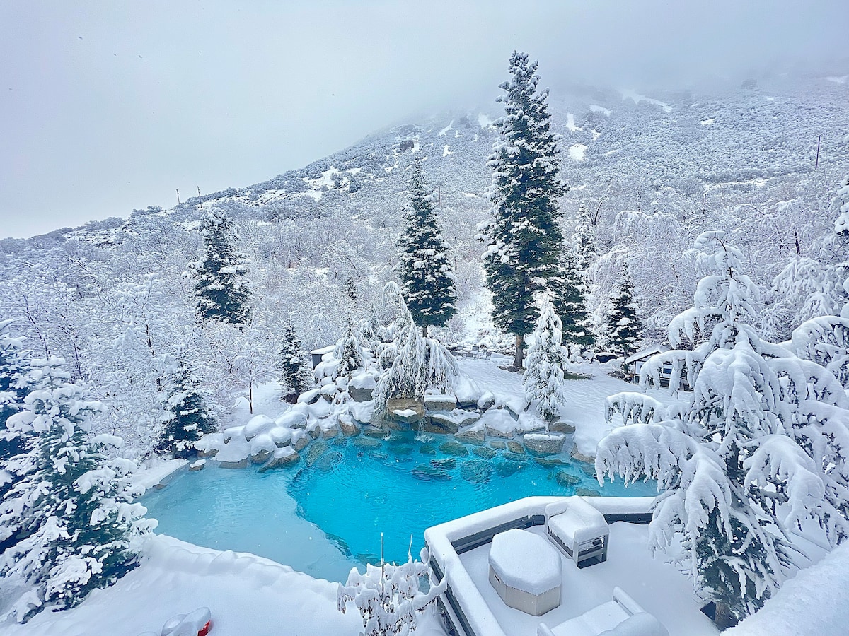 Snowbird/Alta Luxe Ski Home in Little Cottonwood