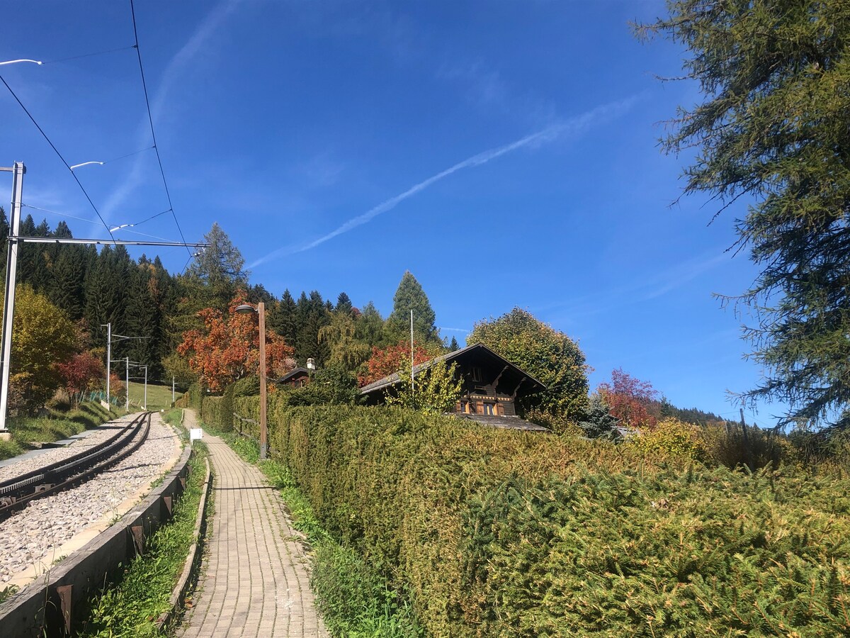 Chalet aux Pléiades - l'Alisier