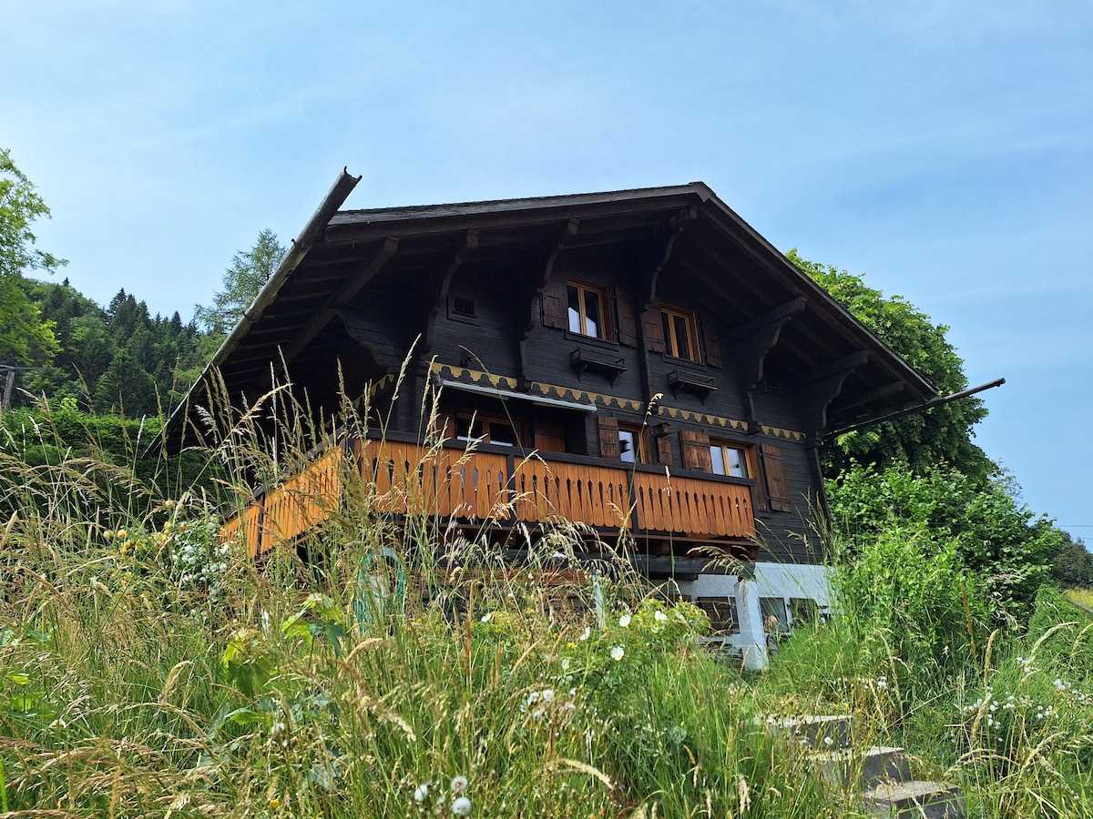 Chalet aux Pléiades - l'Alisier