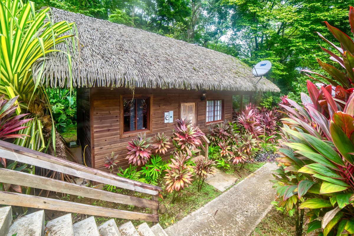 Jungle Lodge at Red Frog Beach Island Resort