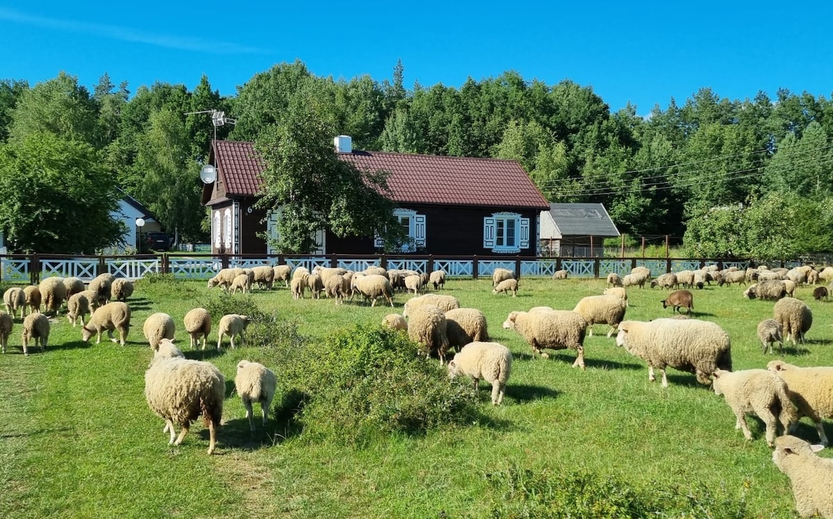 Podlaski Zakątek - Duży Zakątek