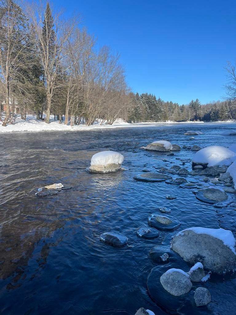 Nature et paix au bord de l'eau