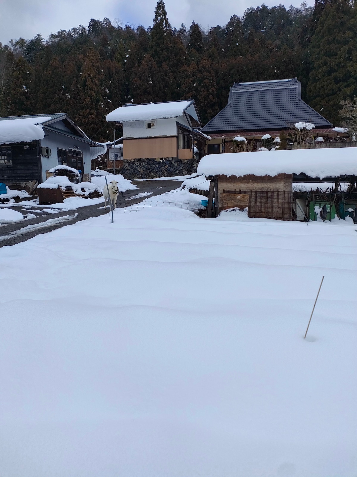 Kyoto miyama 
静かな山奥の農家で田舎暮らしを体験　Kaiser potager