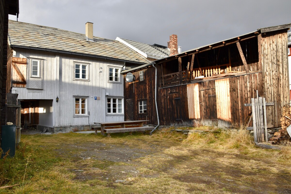 位于Røros市中心的独特联排别墅