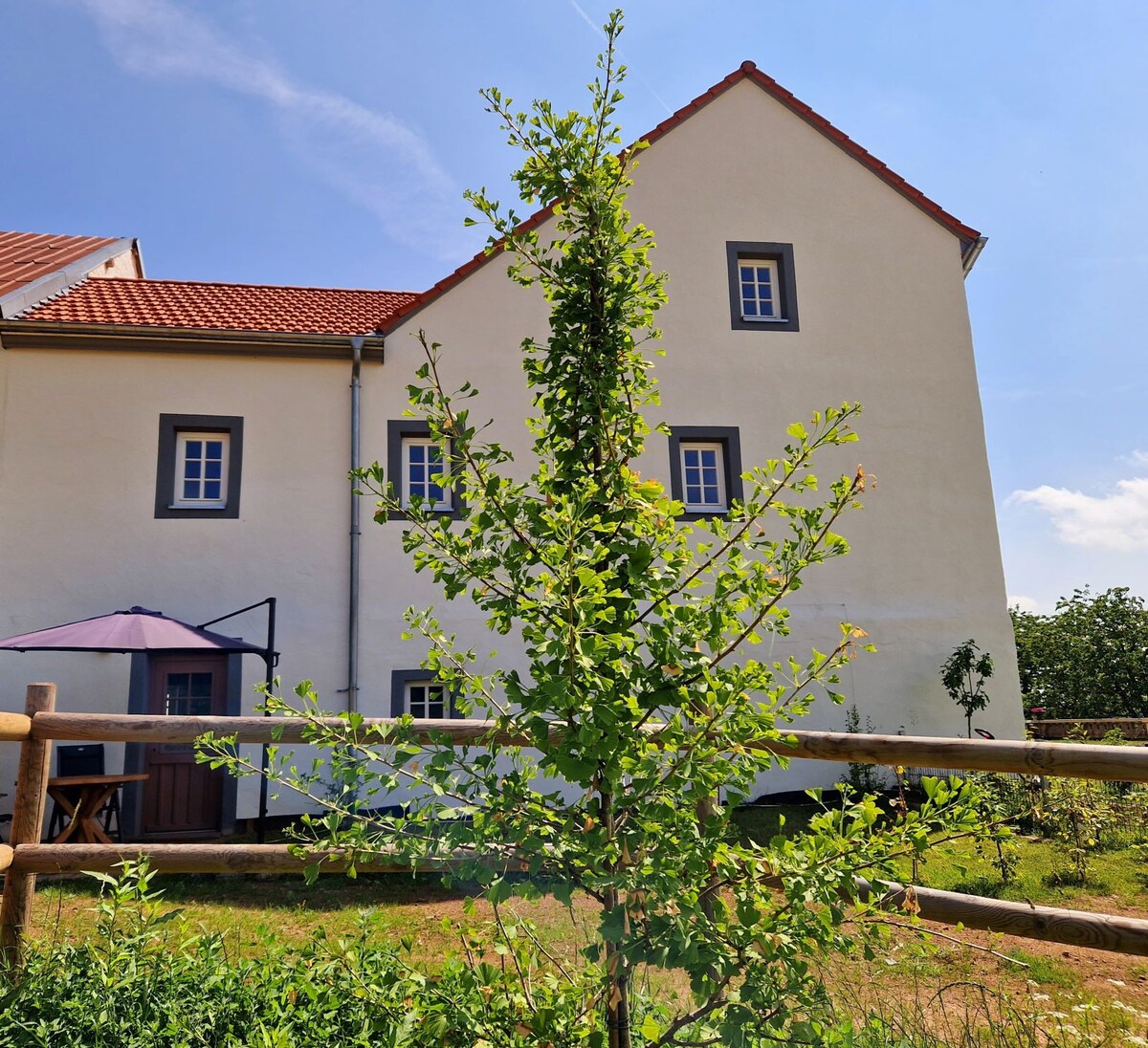 The Duck
House in De La Fontaine