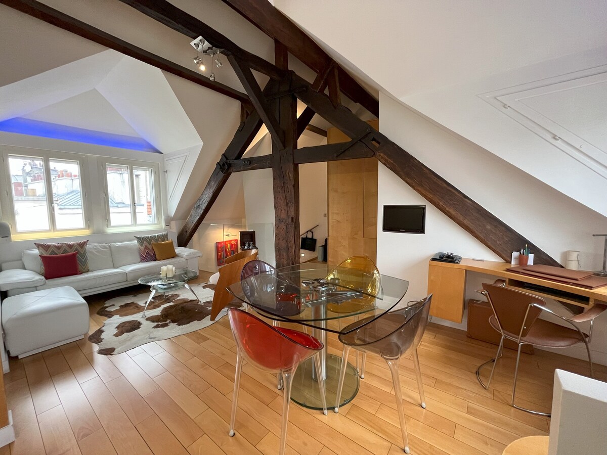 Splendid topfloor studio Marais