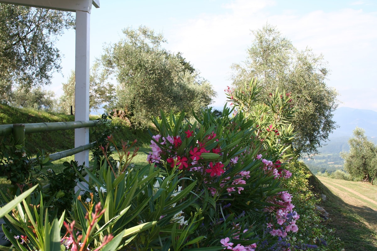 Villa in Lunigiana, swimmingpool