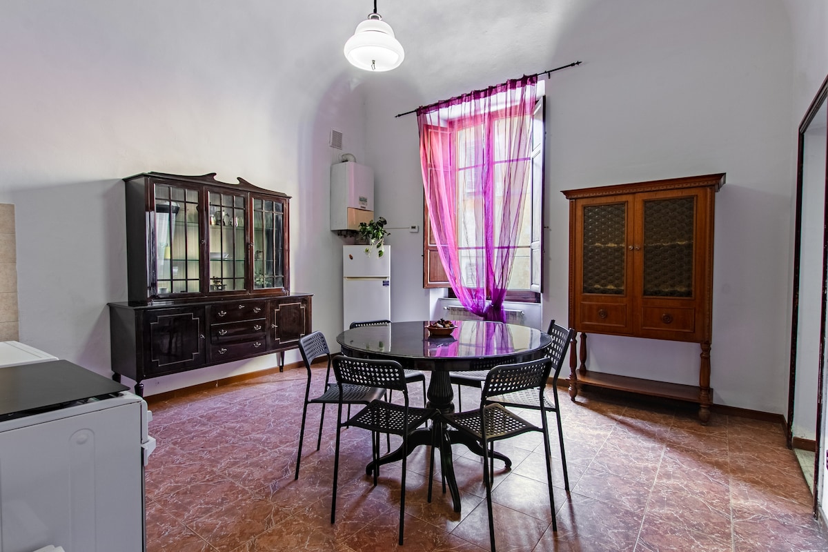 Graceful apartment in Pisa centre