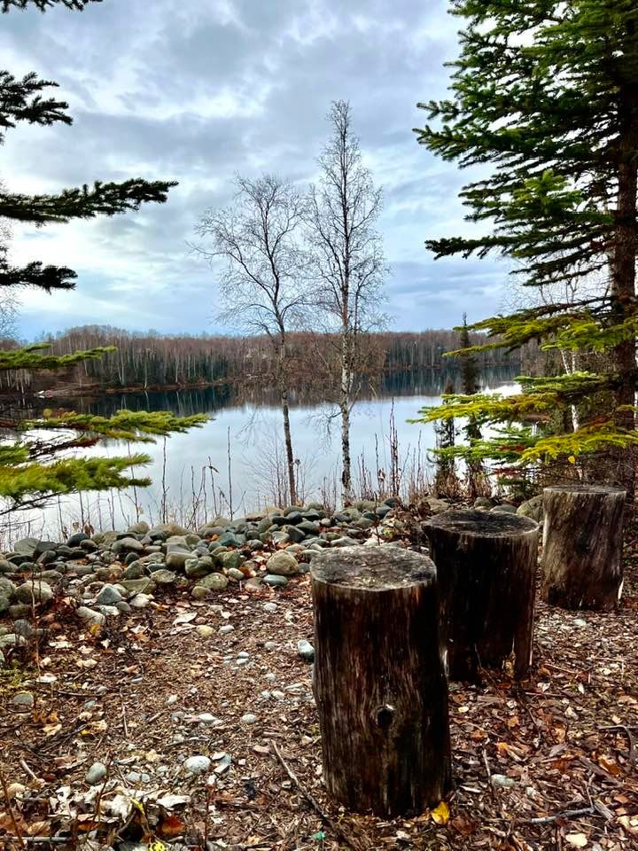 Lake Front Cabin in Talkeetna