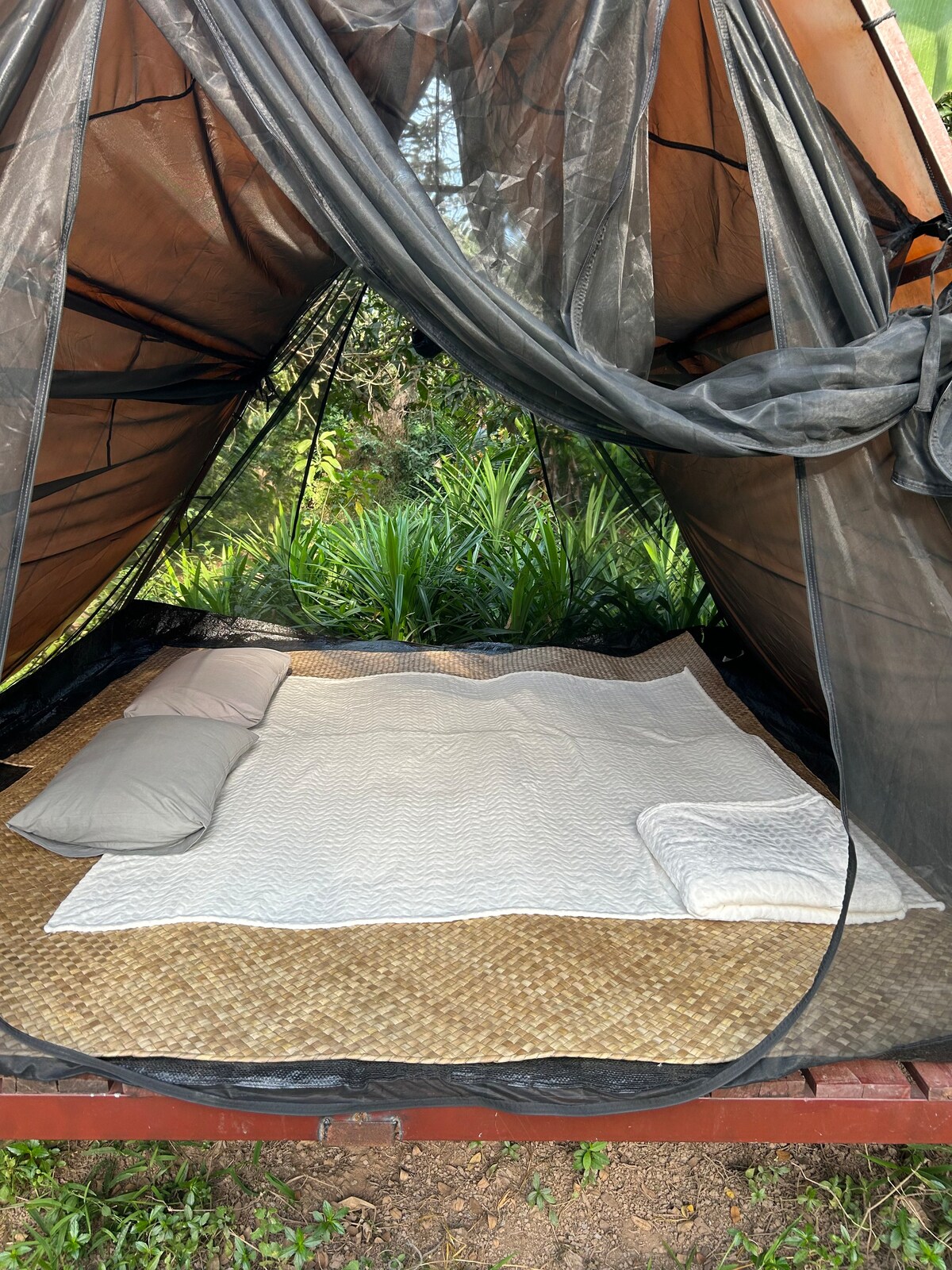 Nature's Haven: Cozy Tent Retreat