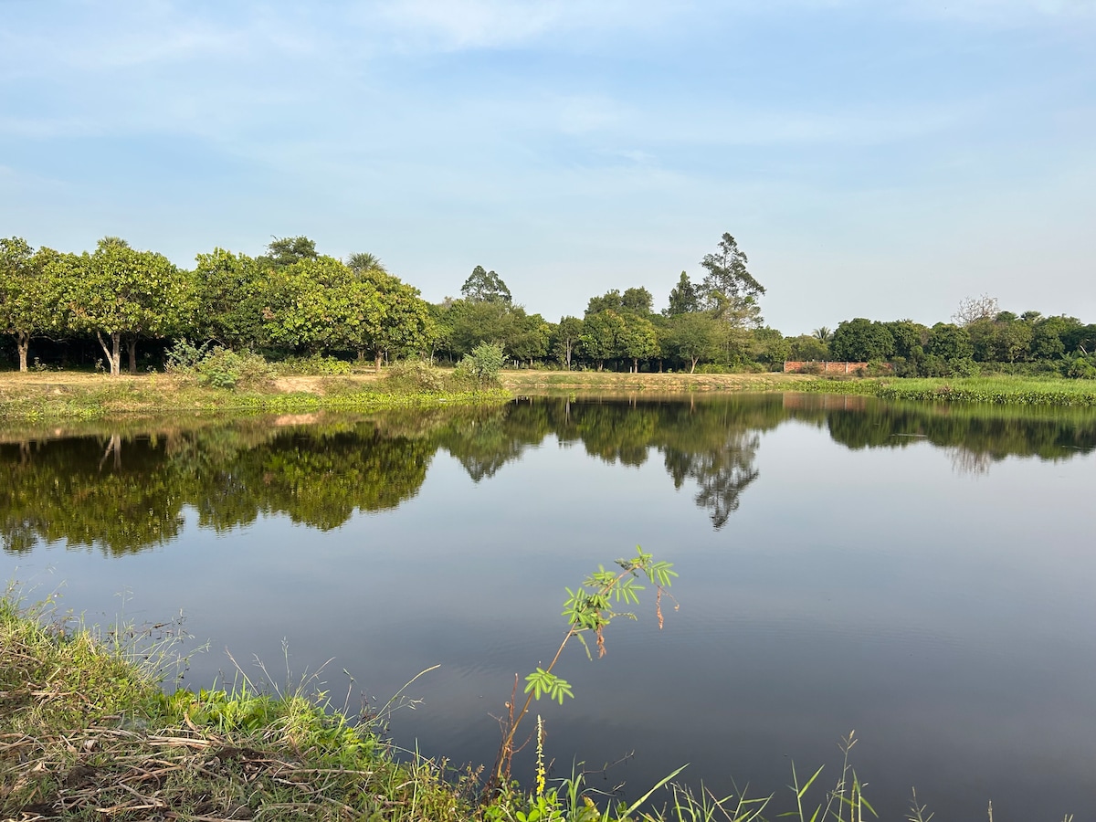 Lakeside Serenity: Relaxing Tent Retreat