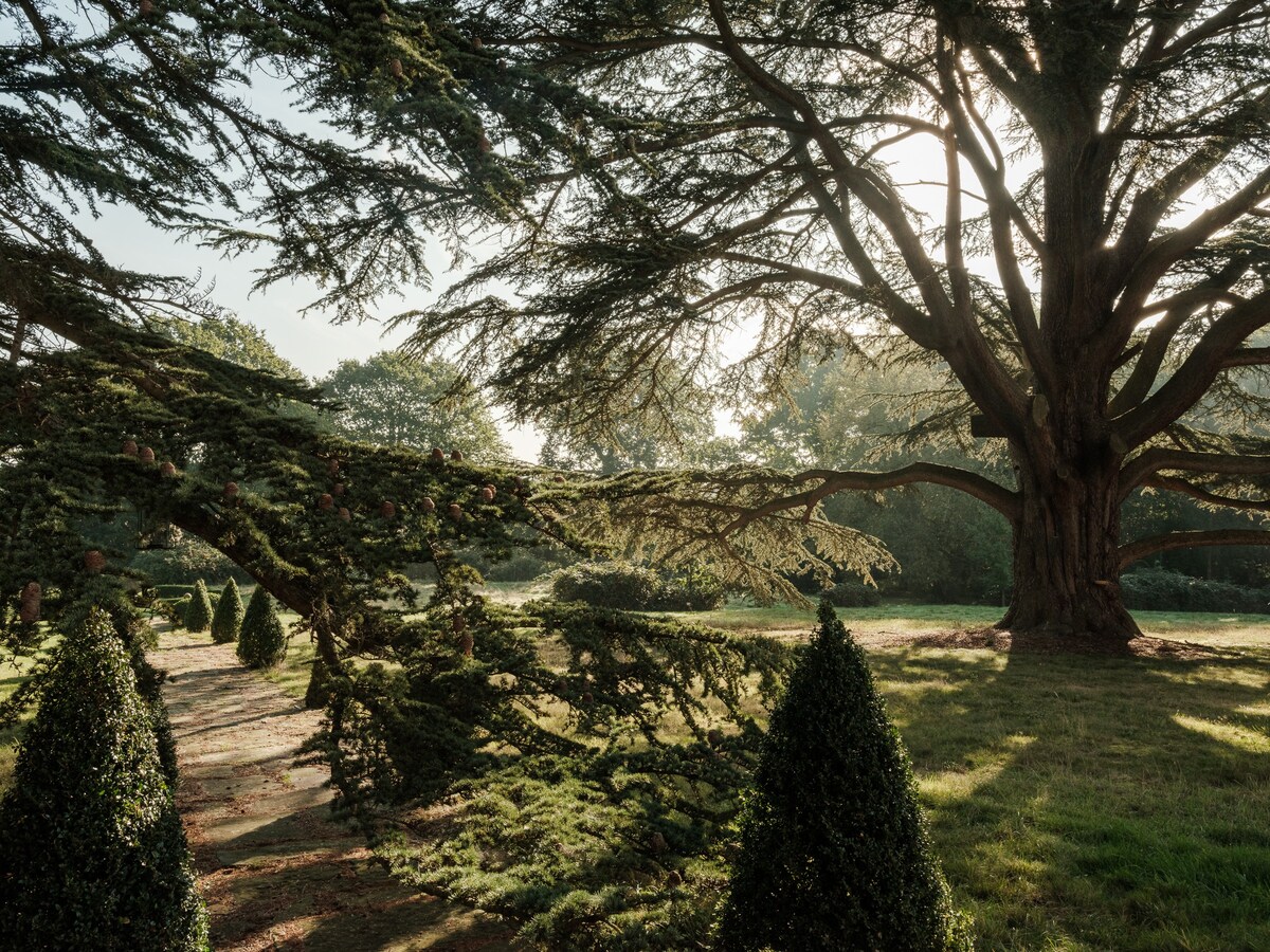 Wilde Cedar; Georgian Countryside Mansion w/Pool