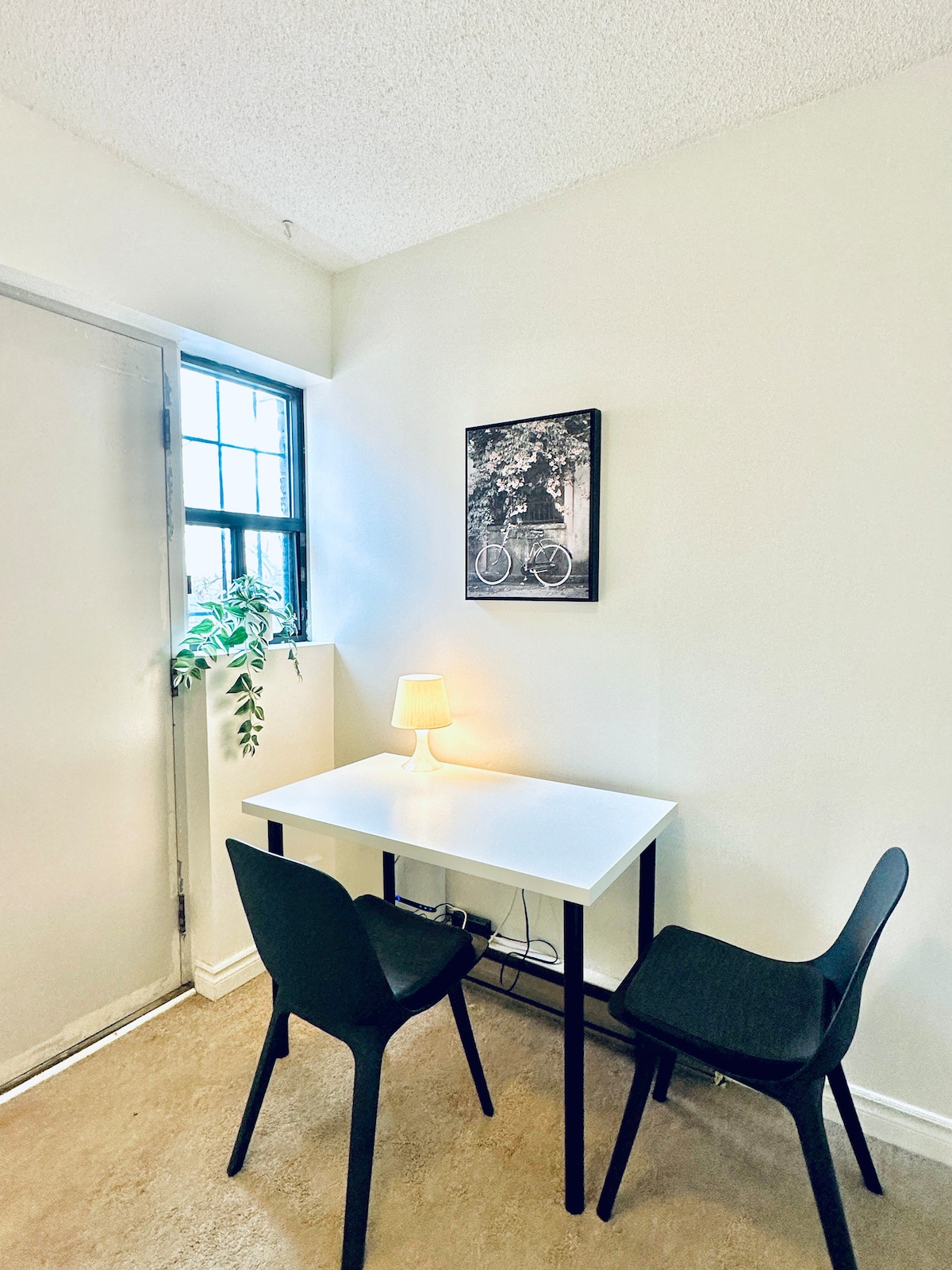 Bright apartment in Bloor West