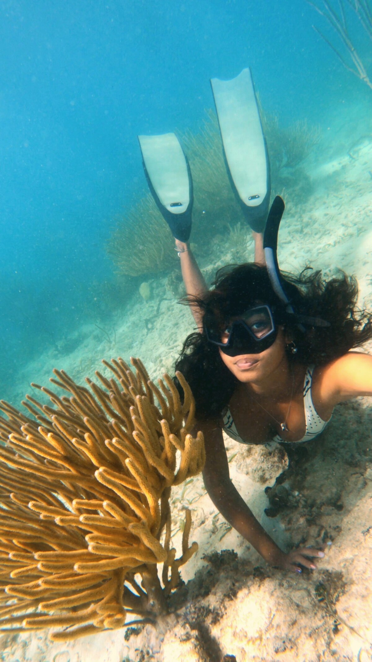 Snorkelling adventures on board