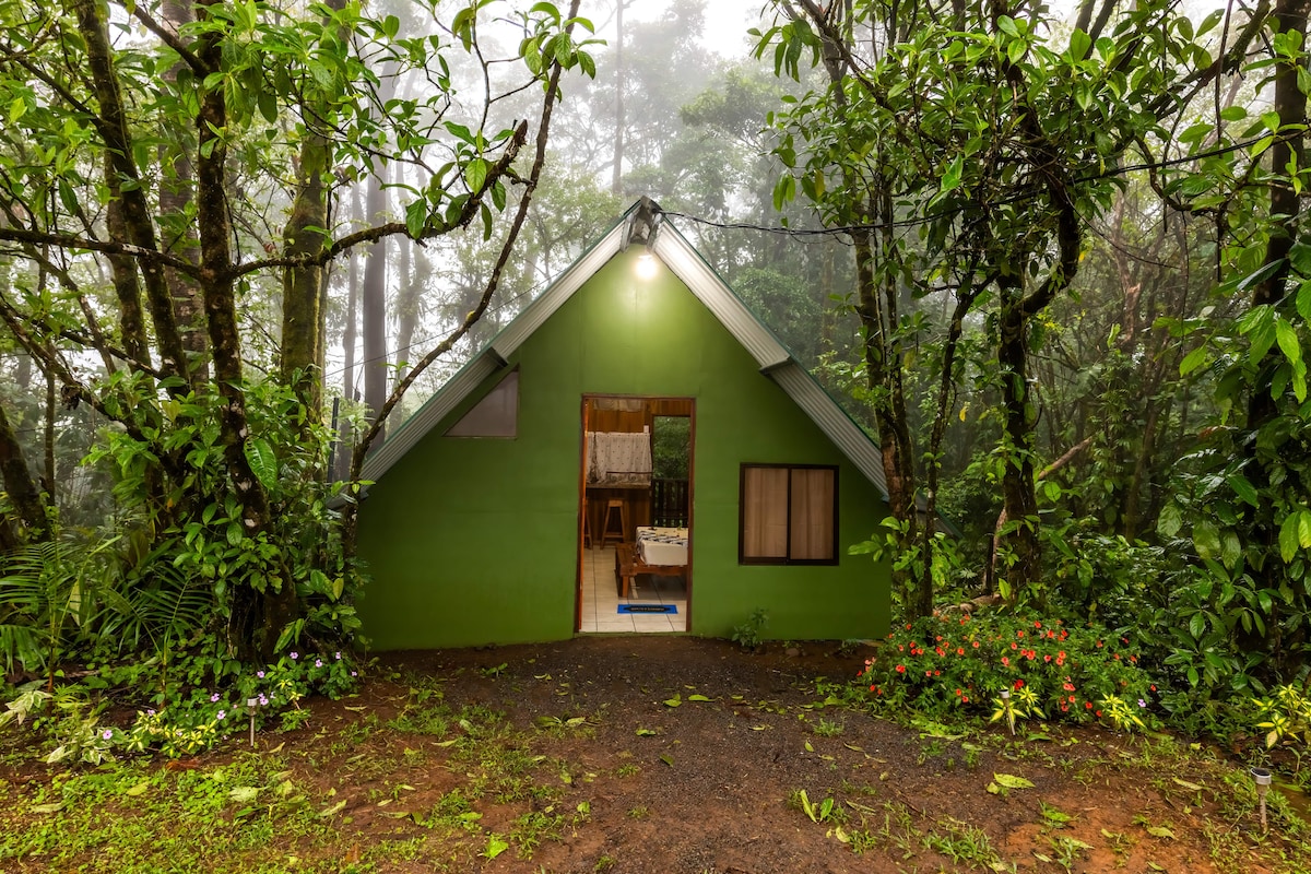 Woods, Balcony, Nature, 5 mins from Rio Celeste