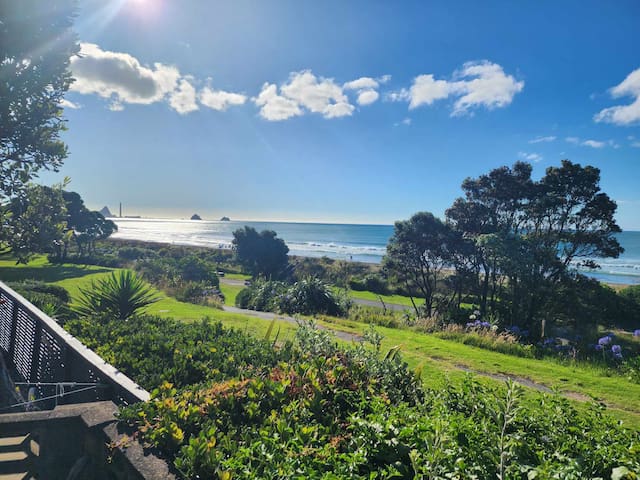 新普利茅斯(New Plymouth)的民宿