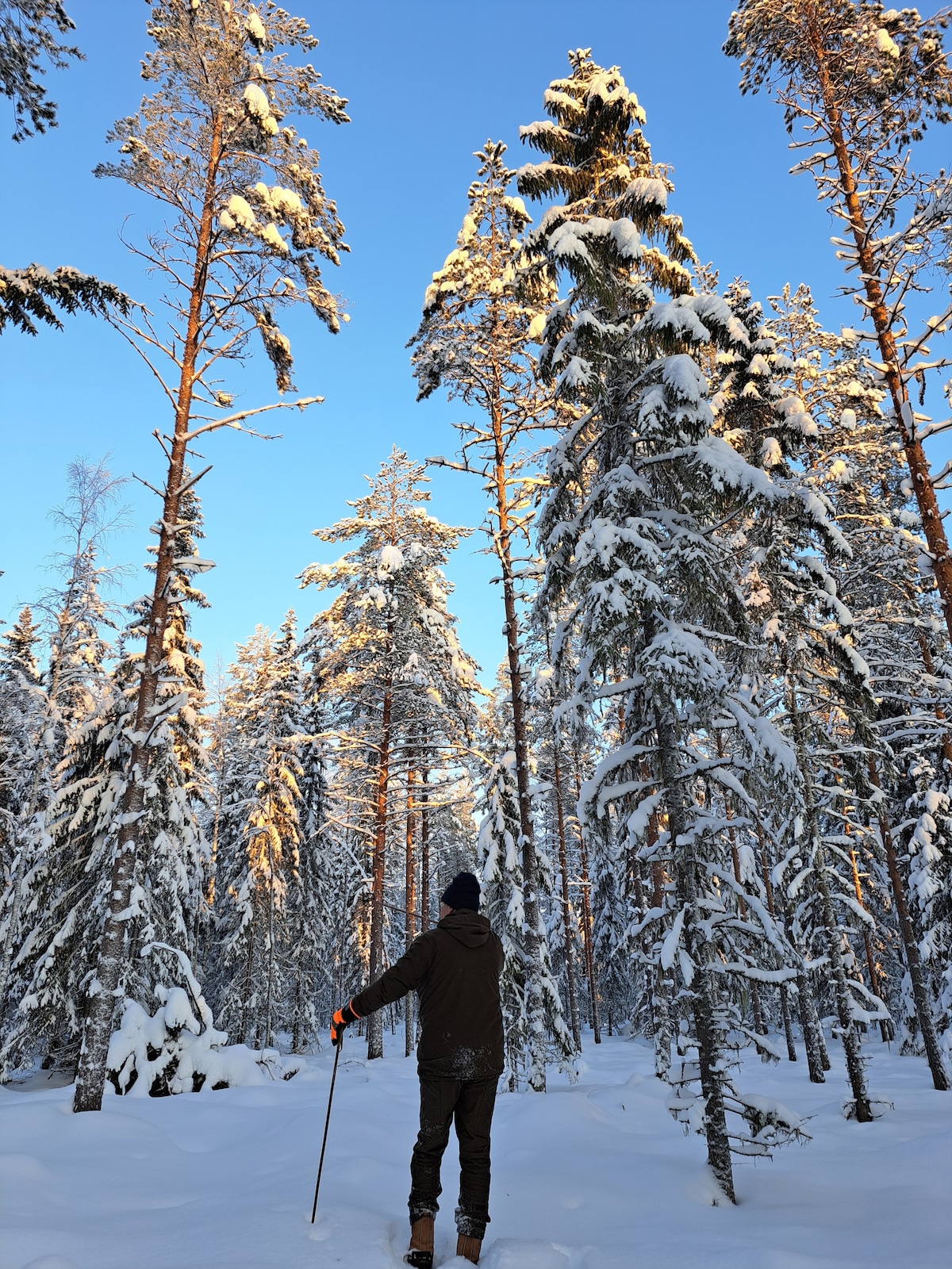 Mökki ja savusauna pienen järven rannalla