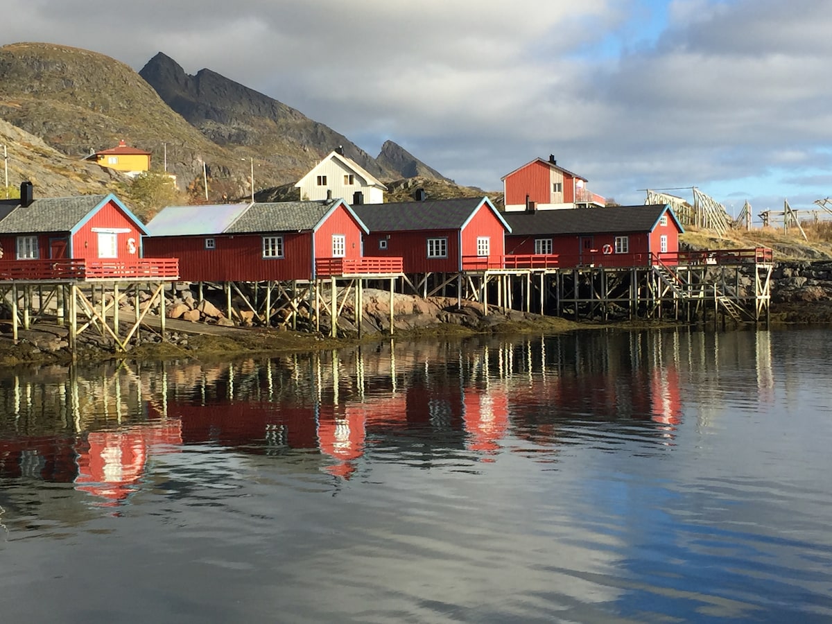 Rorbu hytte i Lofoten