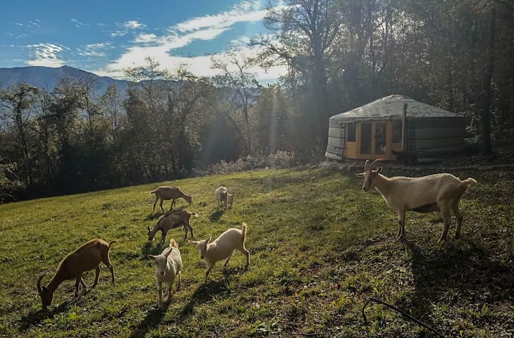 贝卢诺 (Belluno)的民宿