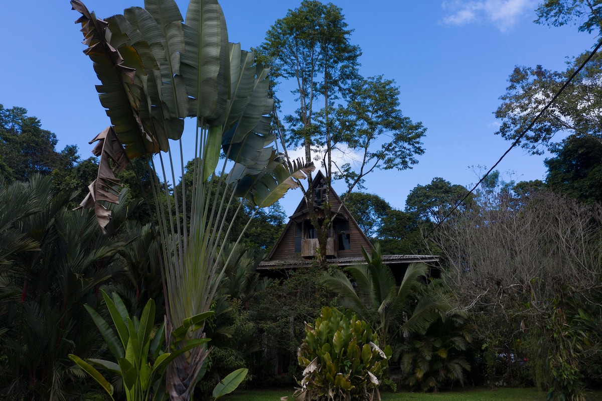 Hermosa cabaña en la selva