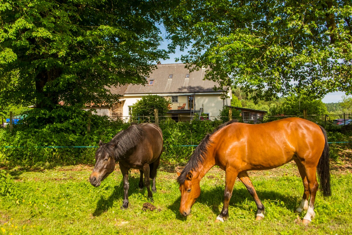 Chambre moderne à la ferme