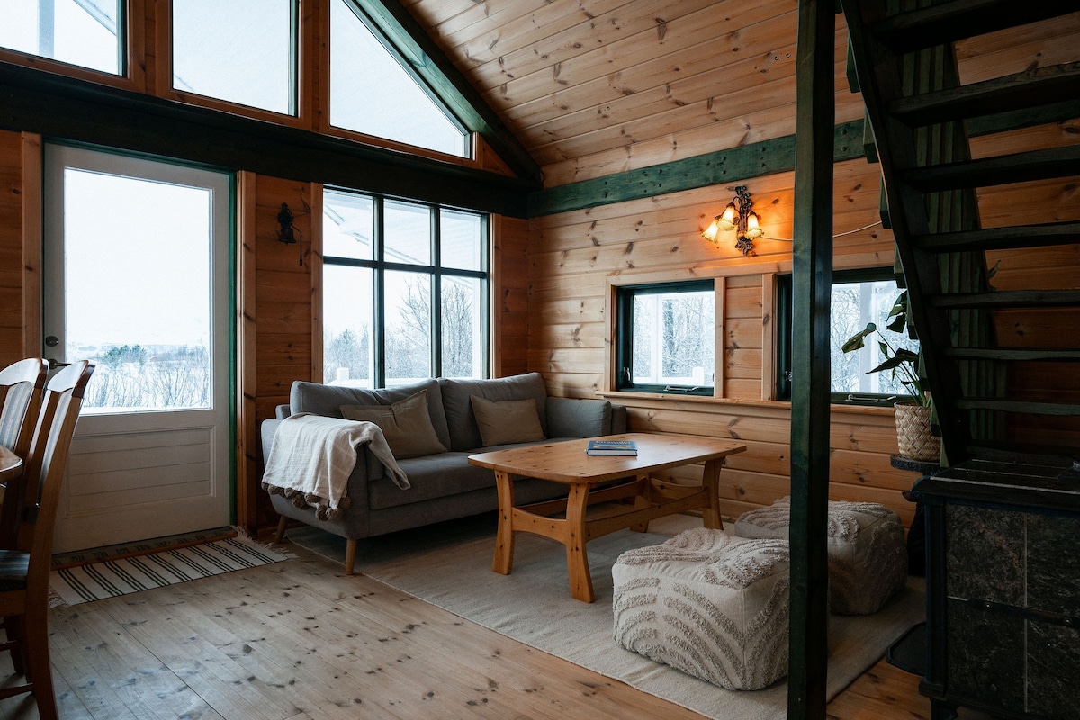 舒适的家庭小屋at Thingvellir