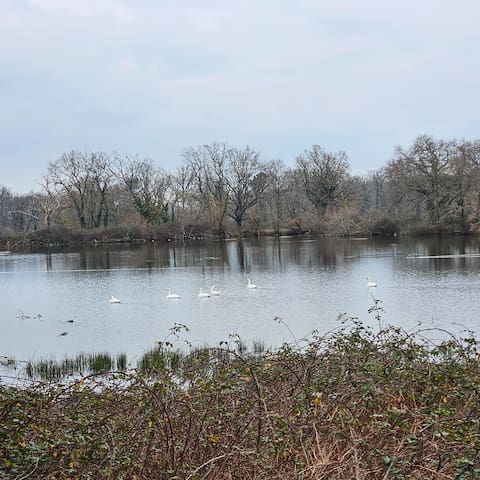 Mézières-en-Brenne的民宿