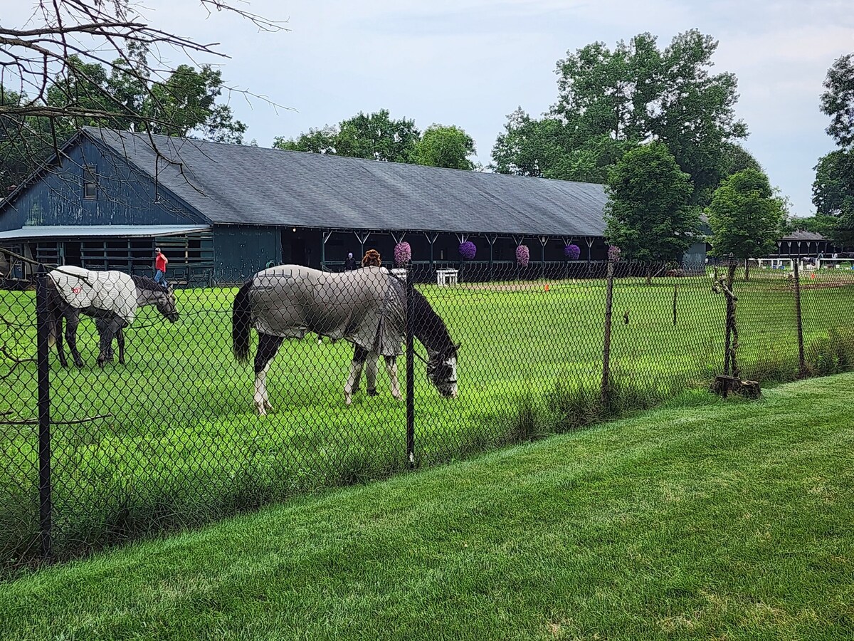 Horse Haven Rental for Track-Belmont
