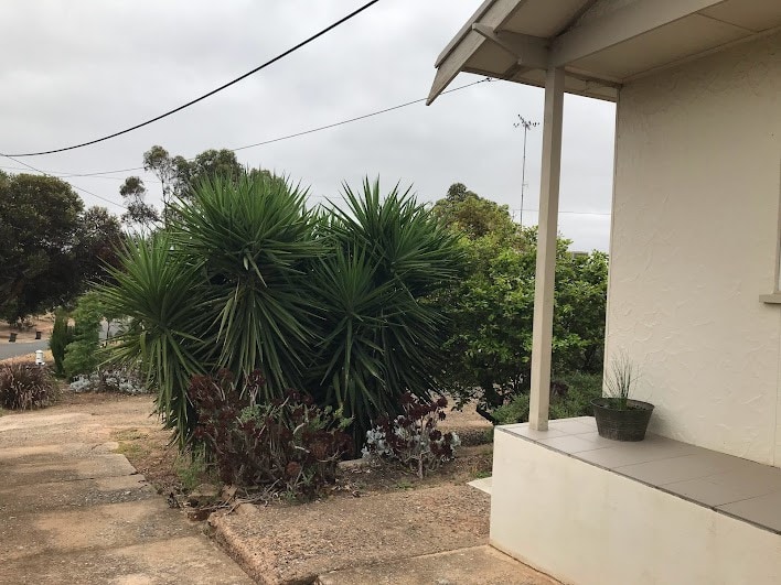 Mannum Cottage