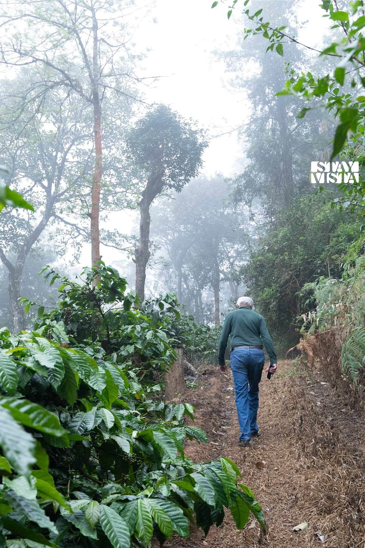 StayVista at Mercara Hill w/ Hill View,  Madikeri