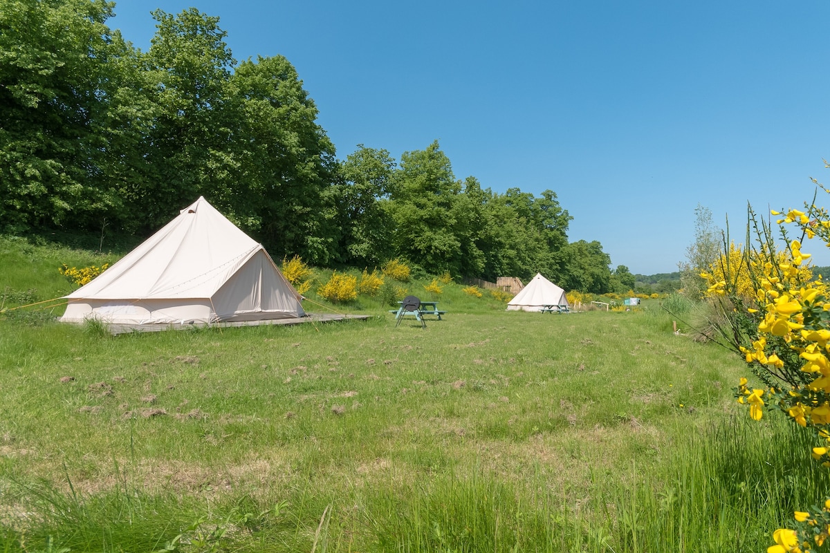 Field Bell tent 3 - Maple