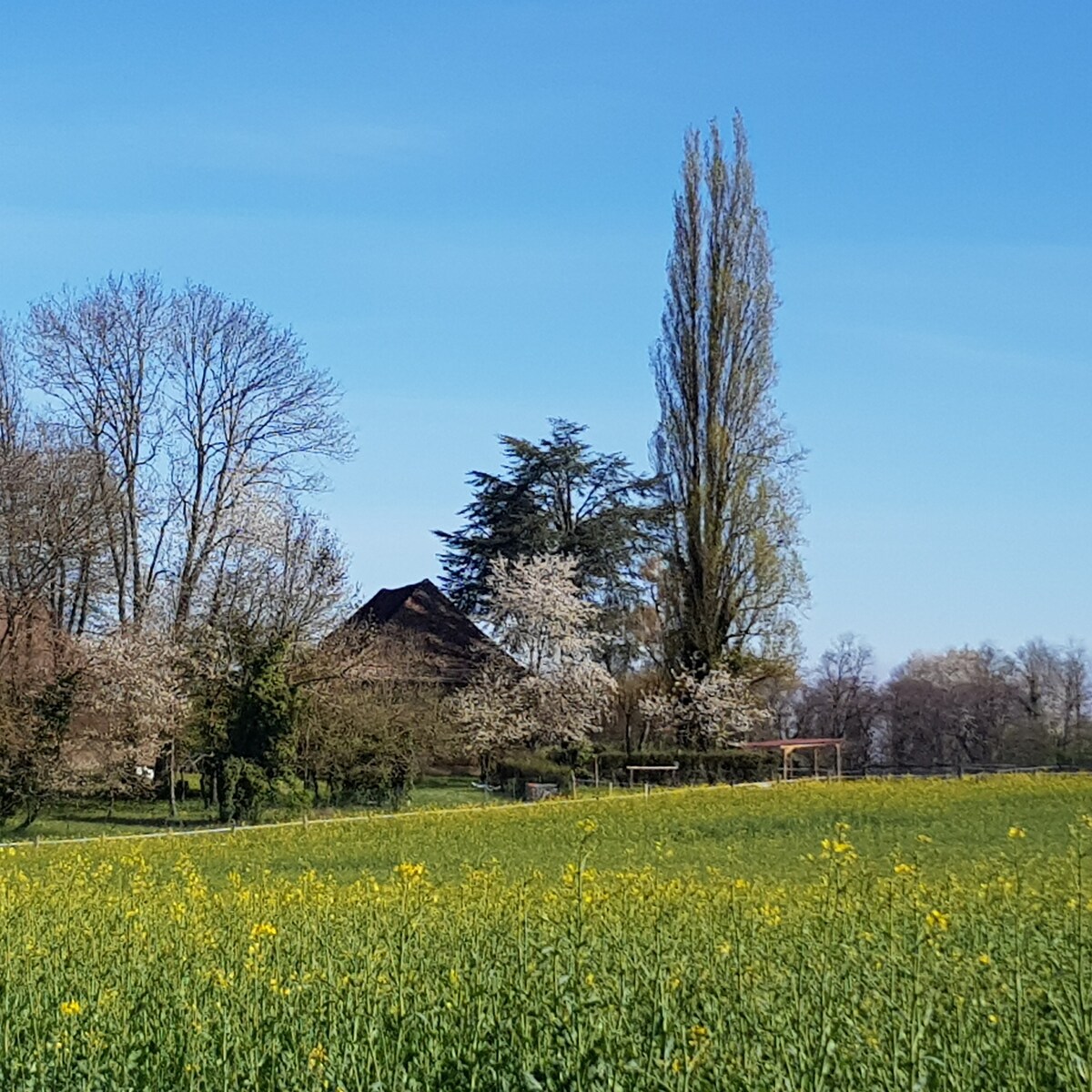 Chambre Cèdre au gîte Les Petites Bottes