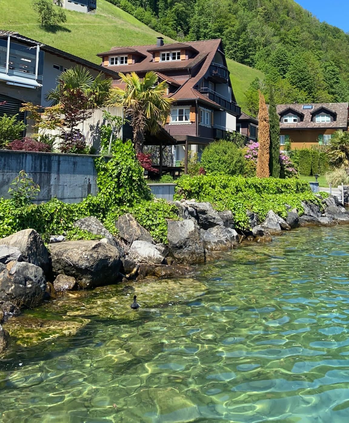 Grosse 2,5 Zimmer Wohnung direkt am See