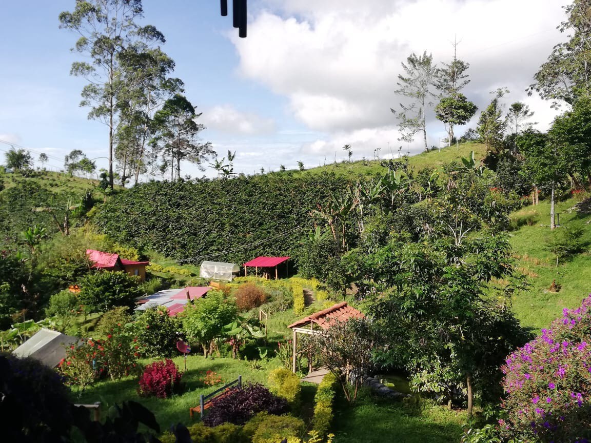 cabaña ecobambusa