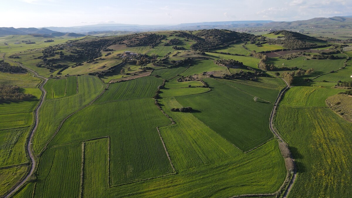 La casetta delle fate o Domus de Janas.