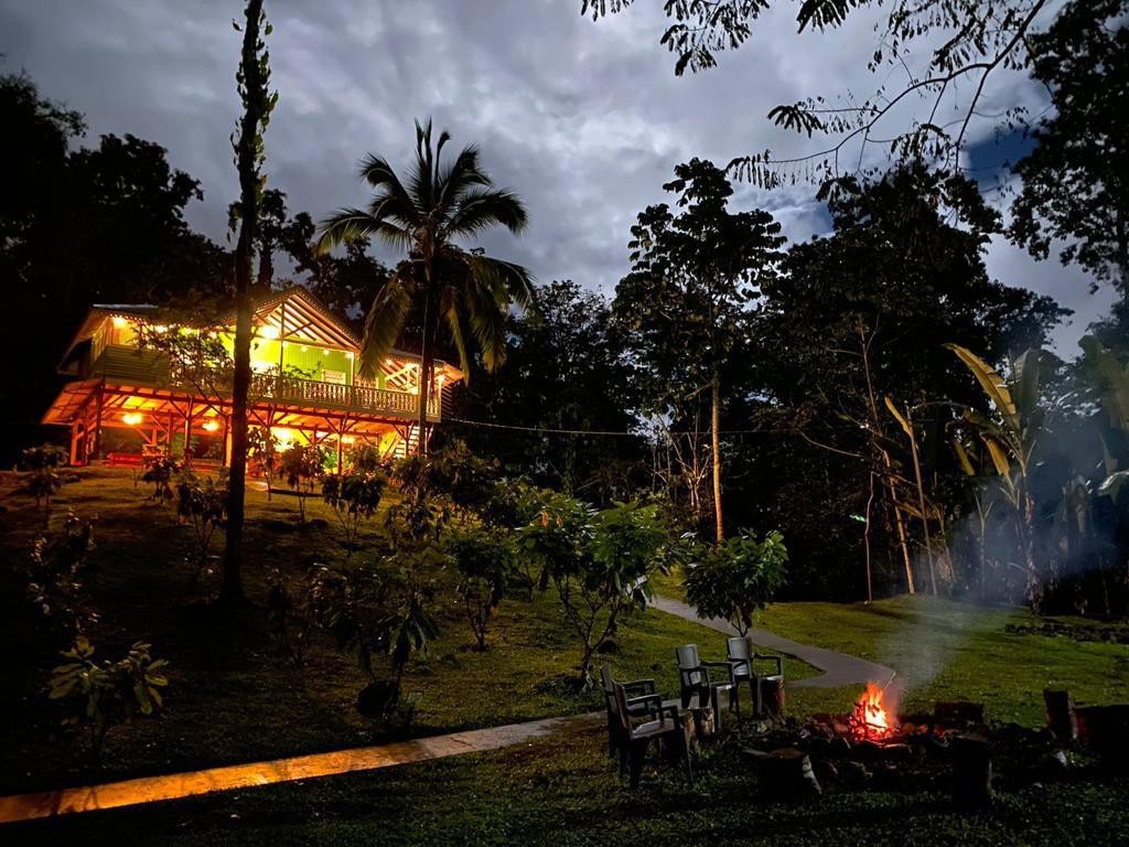 Hacienda Cacaotera frente bosque