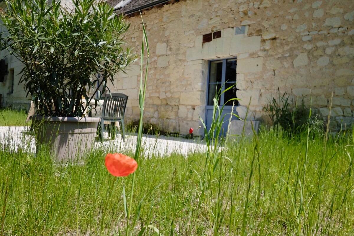 Entre vignes et moulin à Bourgueil 9 p / 4 ch.