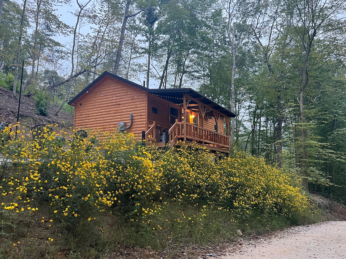 Hill Haven | Tiny + Secluded RRG Cabin | Hot Tub